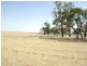 Reedy Lake VIC 3579