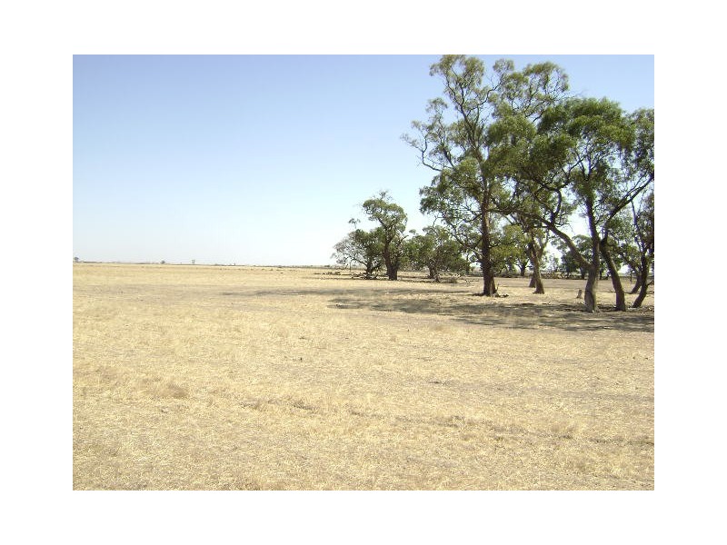 Reedy Lake VIC 3579