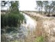 Reedy Lake VIC 3579