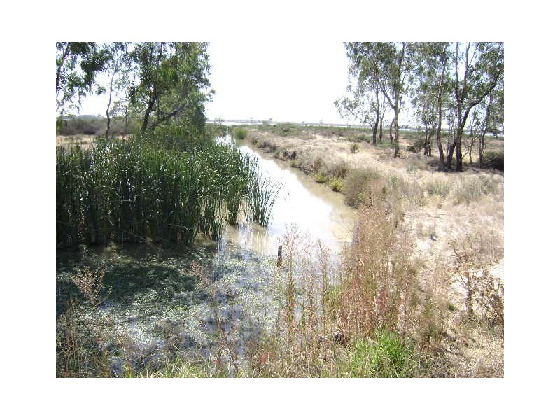 Reedy Lake VIC 3579