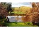 -405 UT Creek Rd, Alexandra VIC 3714