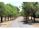 -405 UT Creek Rd, Alexandra VIC 3714