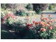 -405 UT Creek Rd, Alexandra VIC 3714