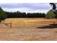 -405 UT Creek Rd, Alexandra VIC 3714