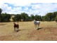 -405 UT Creek Rd, Alexandra VIC 3714