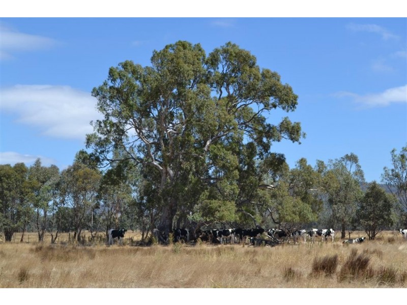 Kilmore VIC 3764