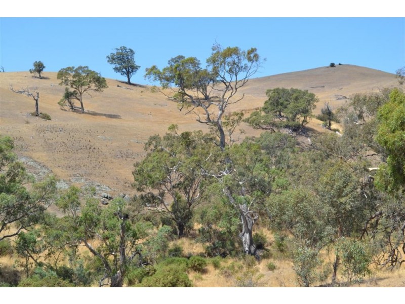 Kilmore VIC 3764