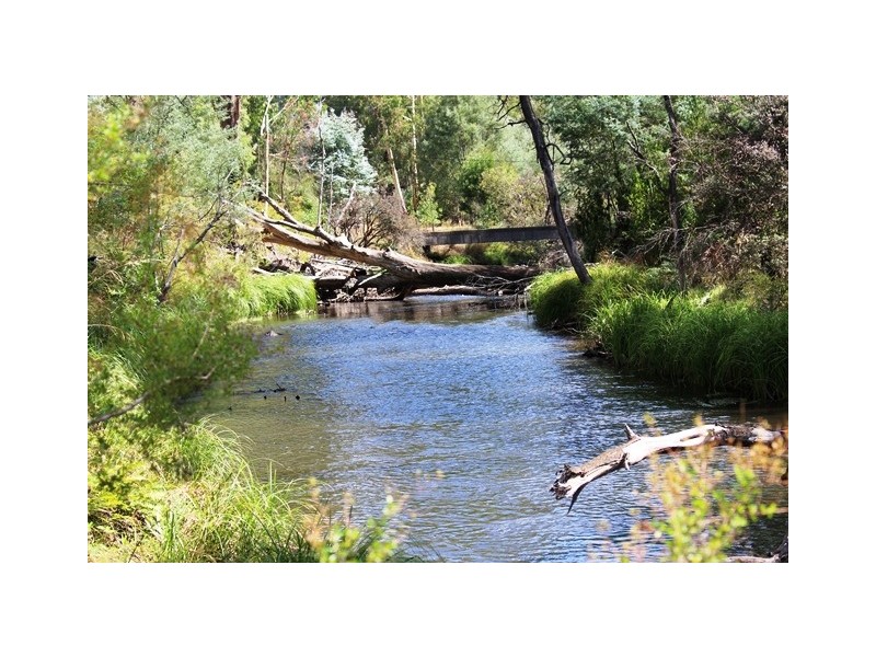 11 Steavenson Rd, Buxton VIC 3711