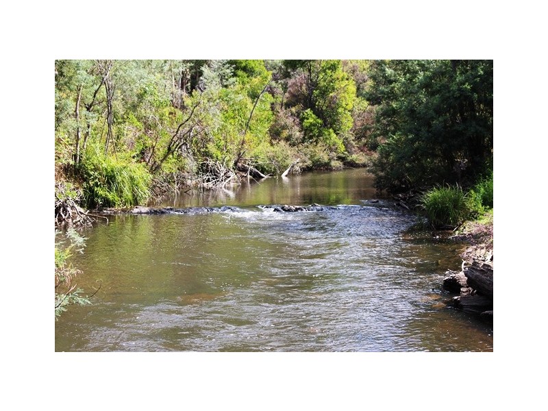 11 Steavenson Rd, Buxton VIC 3711