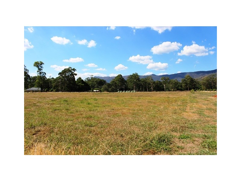11 Steavenson Rd, Buxton VIC 3711