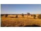 Fentons Creek VIC 3518