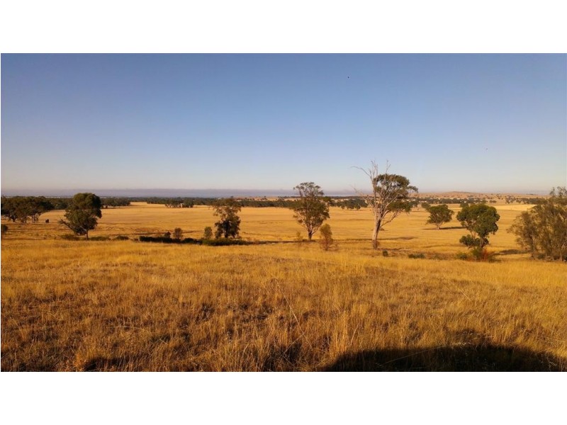 Fentons Creek VIC 3518
