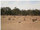 Fentons Creek VIC 3518