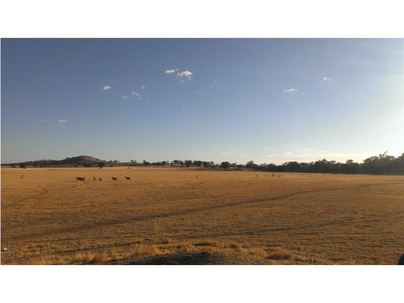 Fentons Creek VIC 3518