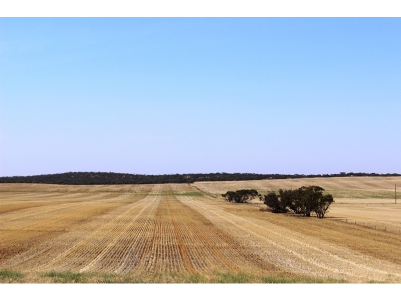 66 Ross road, Patchewollock VIC 3491
