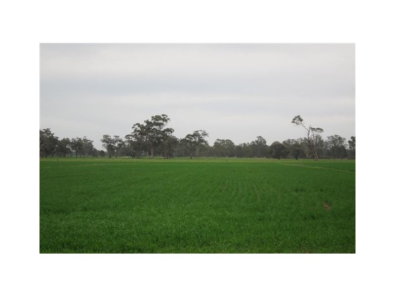 Echuca VIC 3564