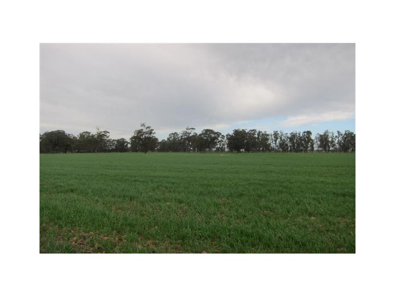 Echuca VIC 3564