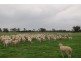 Echuca VIC 3564