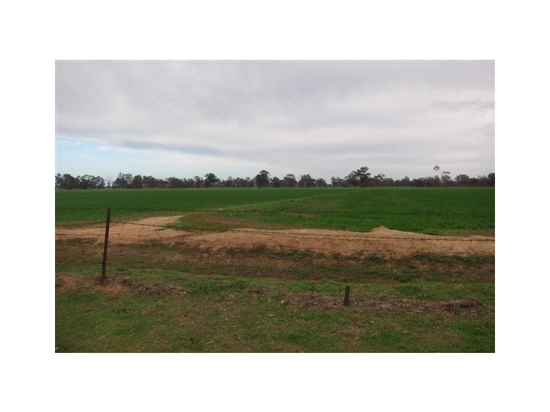 Echuca VIC 3564