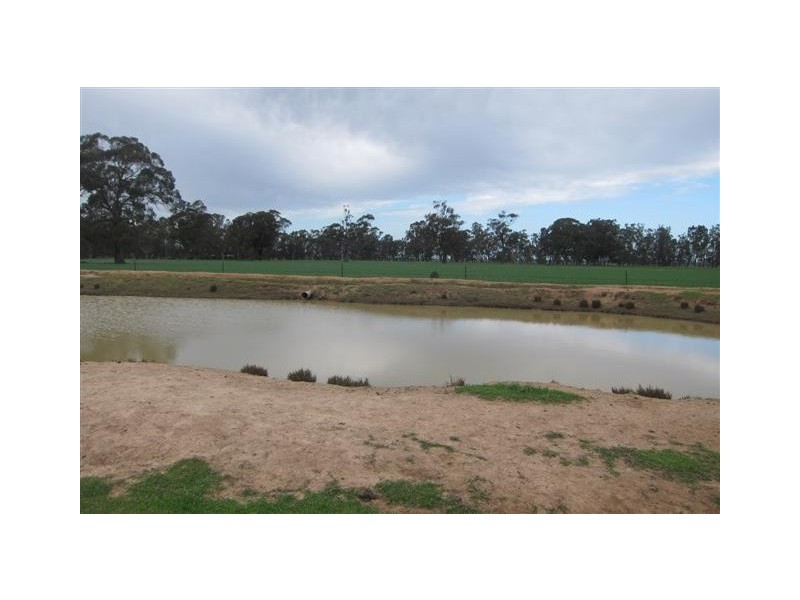 Echuca VIC 3564