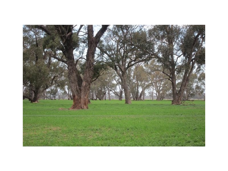 Echuca VIC 3564
