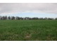 Echuca VIC 3564