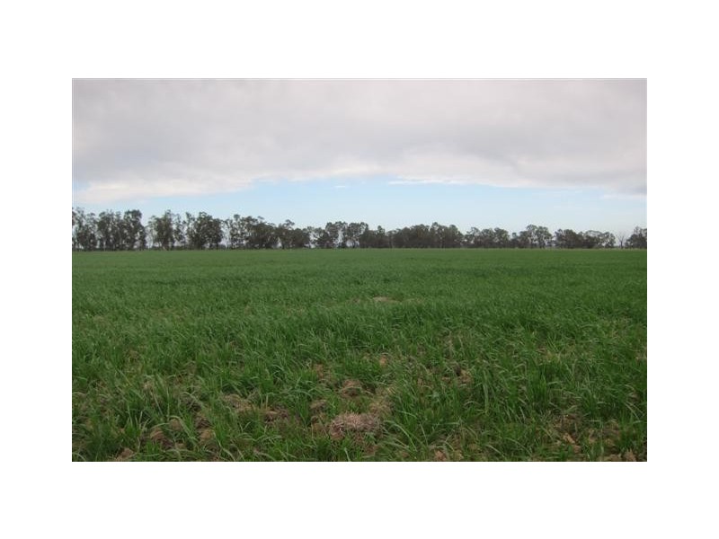 Echuca VIC 3564