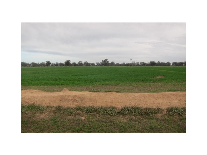 Echuca VIC 3564