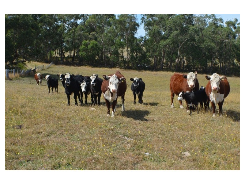 Lot 2 Nyora – St Helier Road, Loch VIC 3945