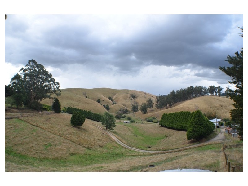 Ferndale VIC 3821