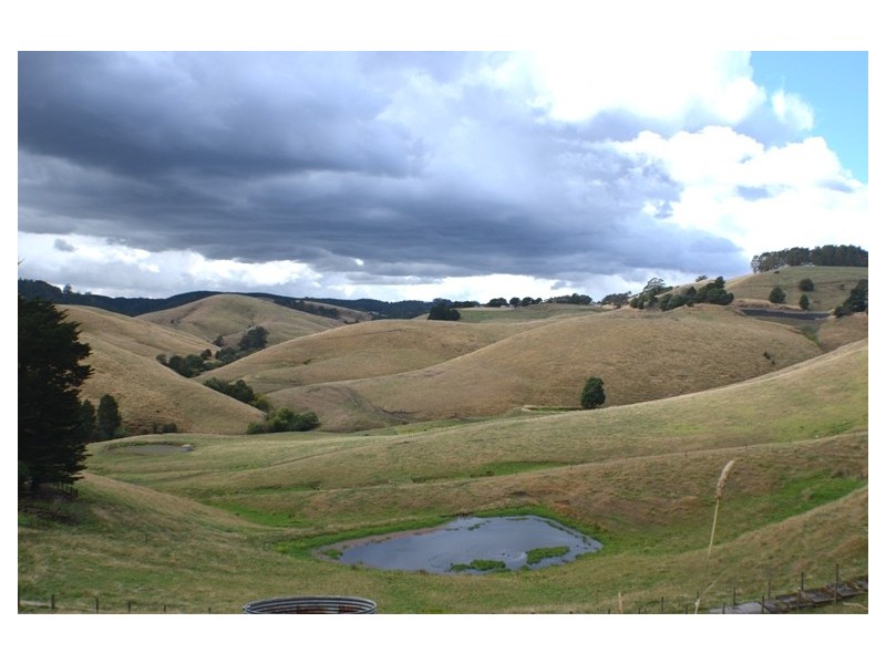 Ferndale VIC 3821