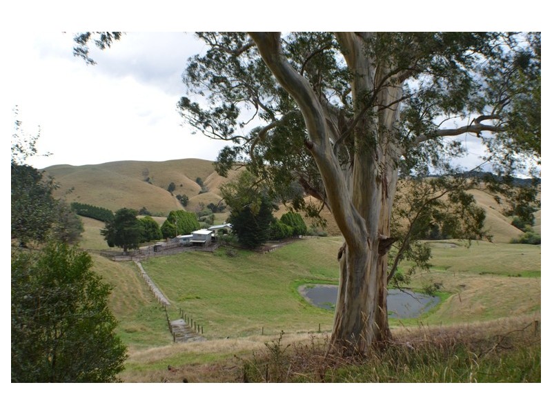 Ferndale VIC 3821