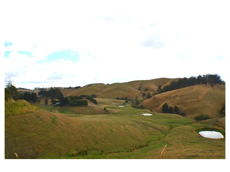 Ferndale VIC 3821