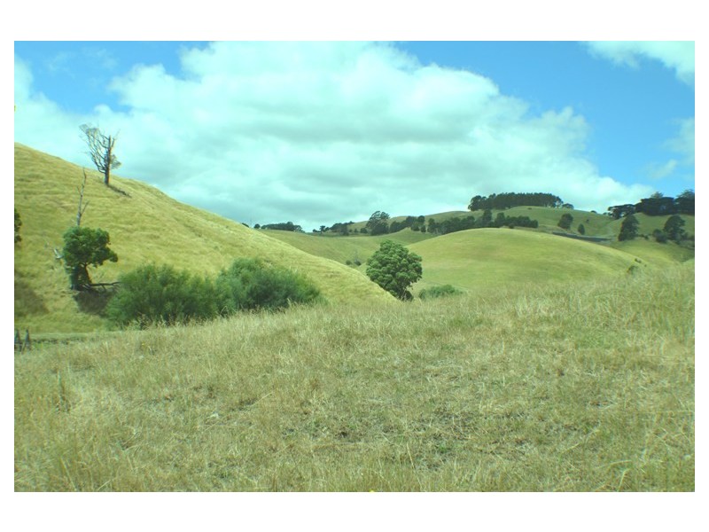 Ferndale VIC 3821