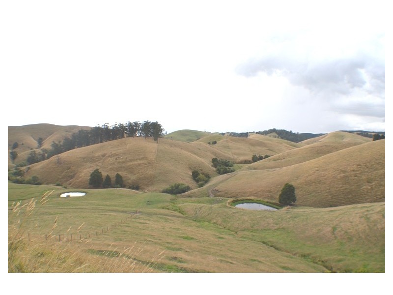 Ferndale VIC 3821