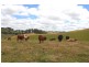 Ferndale VIC 3821