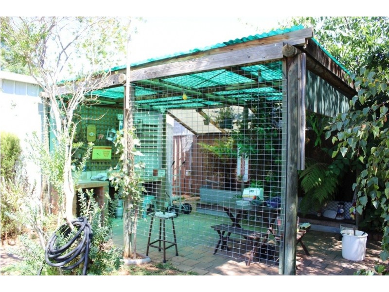 24 Gillespie Stree, Swan Hill VIC 3585