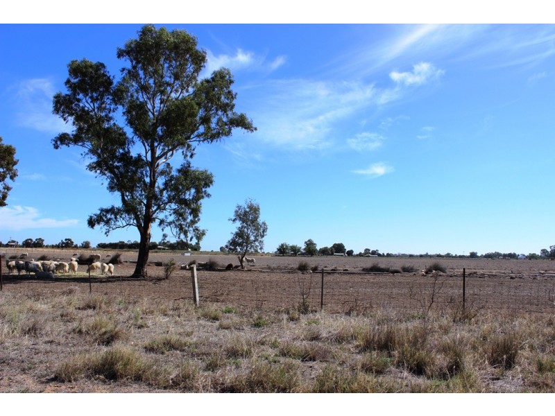 26 Speewa Road, Koraleigh NSW 2735