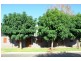 12 Mitchell Street, Swan Hill VIC 3585