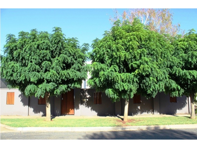 12 Mitchell Street, Swan Hill VIC 3585