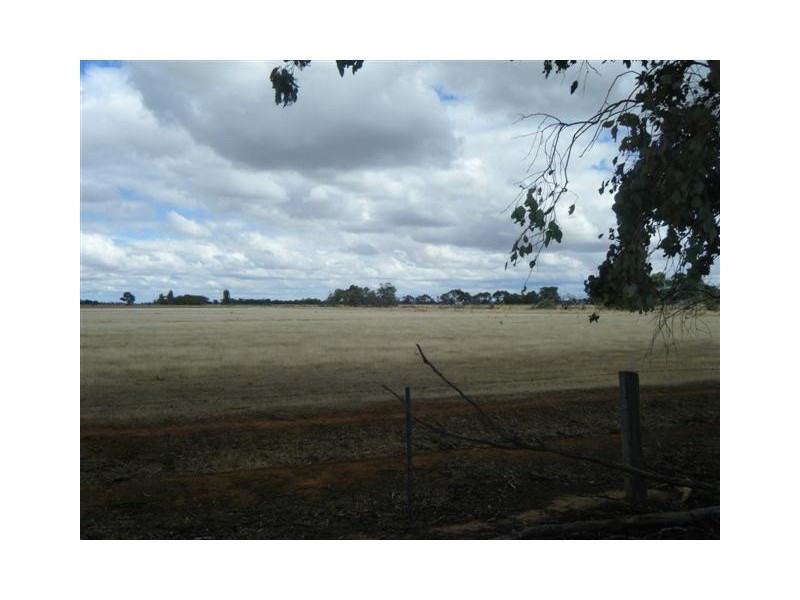 1 Boort-Mitiamo Road, Mitiamo VIC 3573