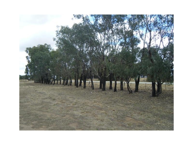 1 Boort-Mitiamo Road, Mitiamo VIC 3573