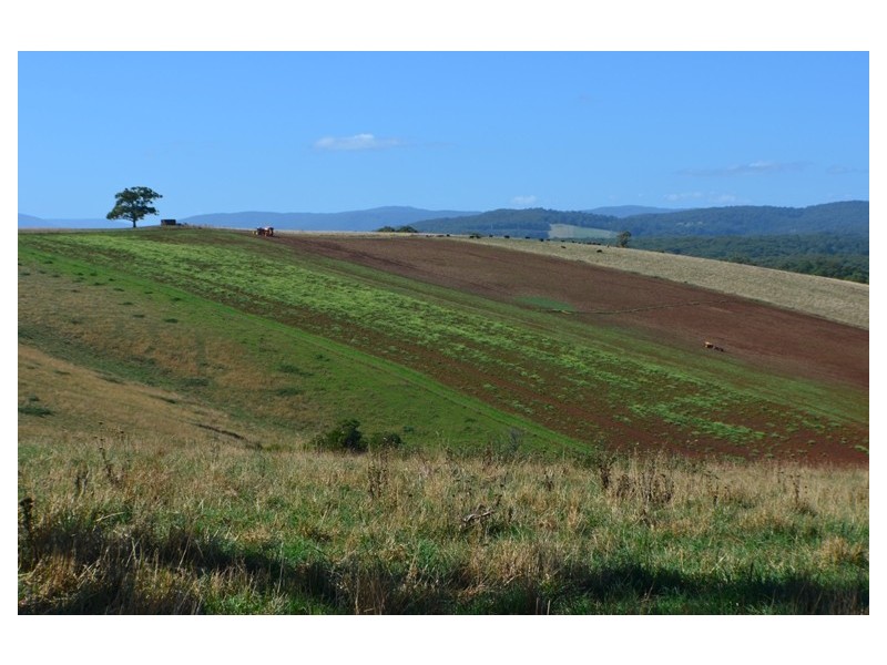 Lot 2/3 446 Ure Road, Gembrook VIC 3783