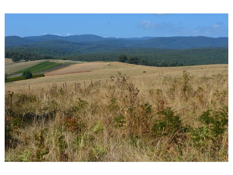 Lot 2/3 446 Ure Road, Gembrook VIC 3783