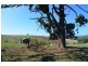 Lot 2 446 Ure Road, Gembrook VIC 3783
