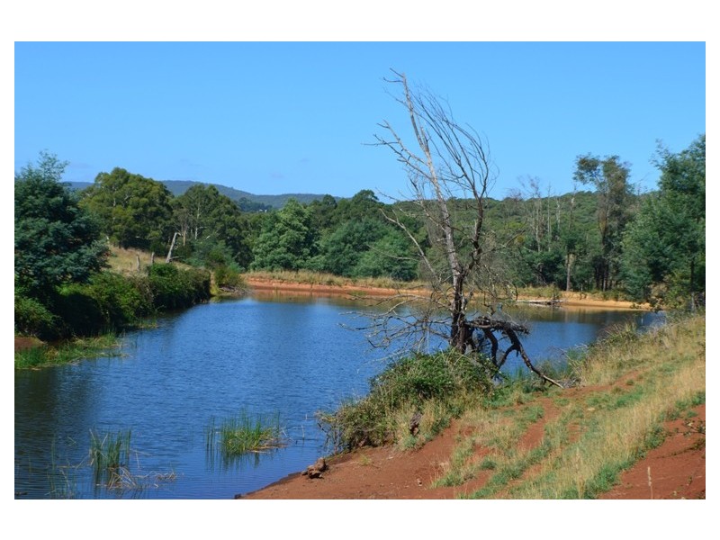 Lot 2 446 Ure Road, Gembrook VIC 3783