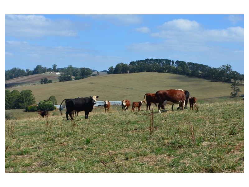 Lot 2 446 Ure Road, Gembrook VIC 3783