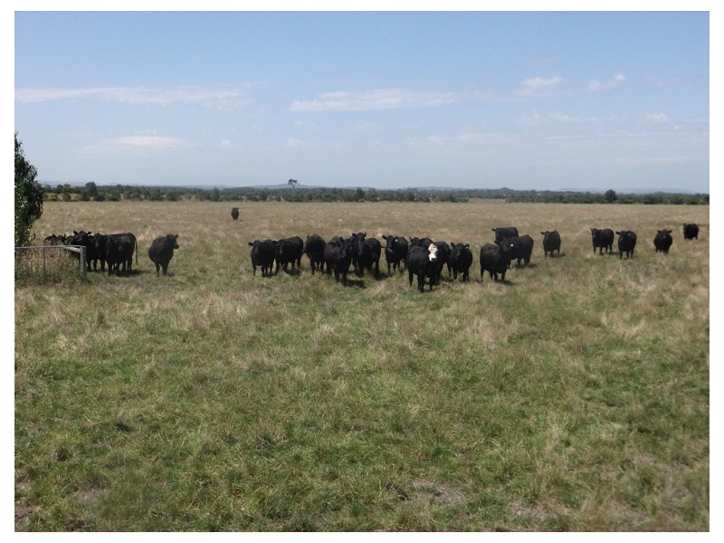 Caldermeade VIC 3984