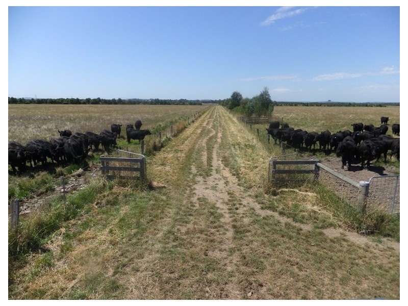 Caldermeade VIC 3984