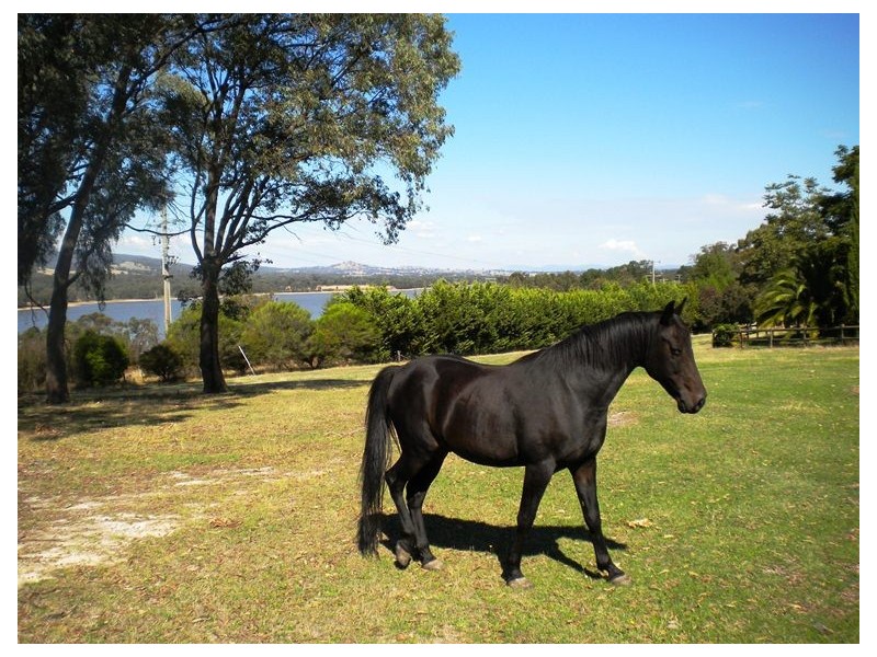 Lima South VIC 3673